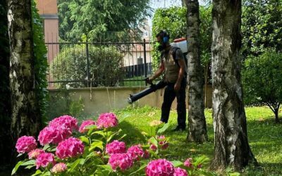 Disinfestazioni a Milano: le minacce del mese di Maggio