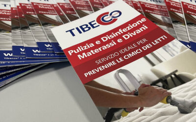 Pulizia materassi a Milano. Ecco come prevenire le cimici del letti